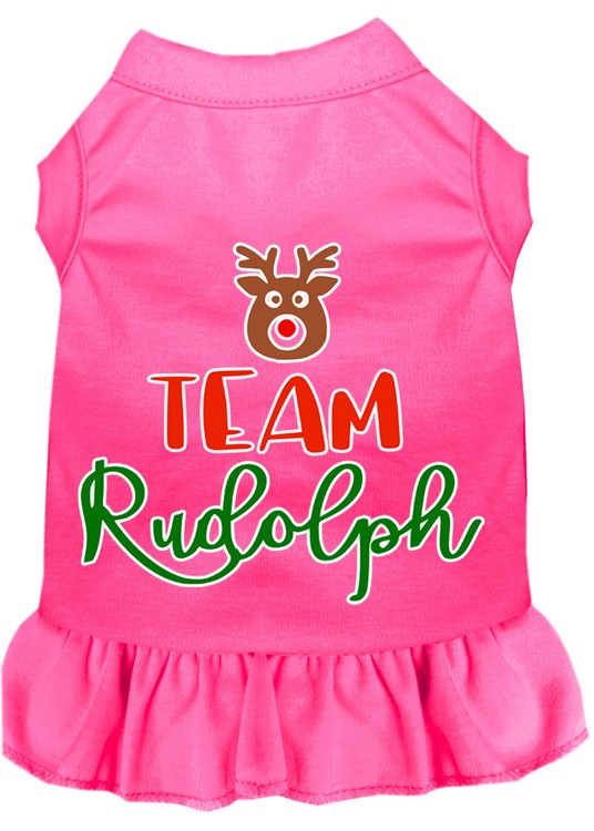 Team Rudolph Screen Print Dog Dress Bright Pink Sm